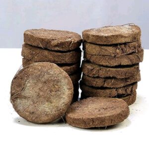 Cow Dung Cake - 9